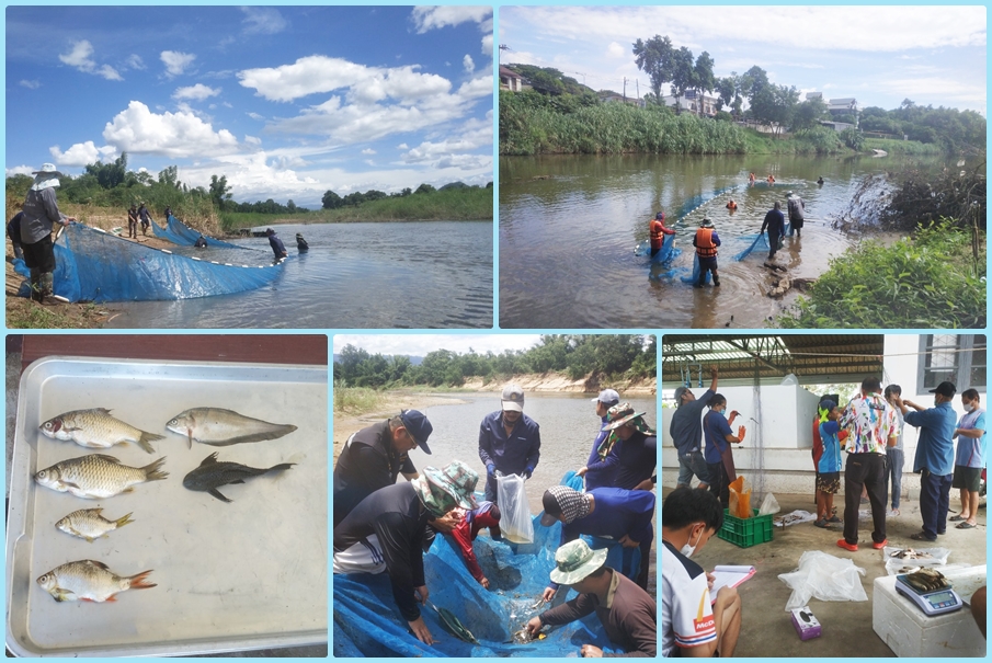 ปฏิบัติงานติดตามสภาพนิเวศวิทยาทางน้ำและการประมง โครงการประตูระบายน้ำแม่สอย จังหวัดเชียงใหม่ คร้ังที่ 2..คลิก