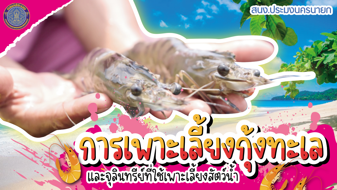 เอกสารเผยแพร่/วิดีทัศน์ เกี่ยวกับการเพาะเลี้ยงกุ้งทะเลและจุลินทรีที่ใช้การเพาะเลี้ยงสัตว์น้ำ