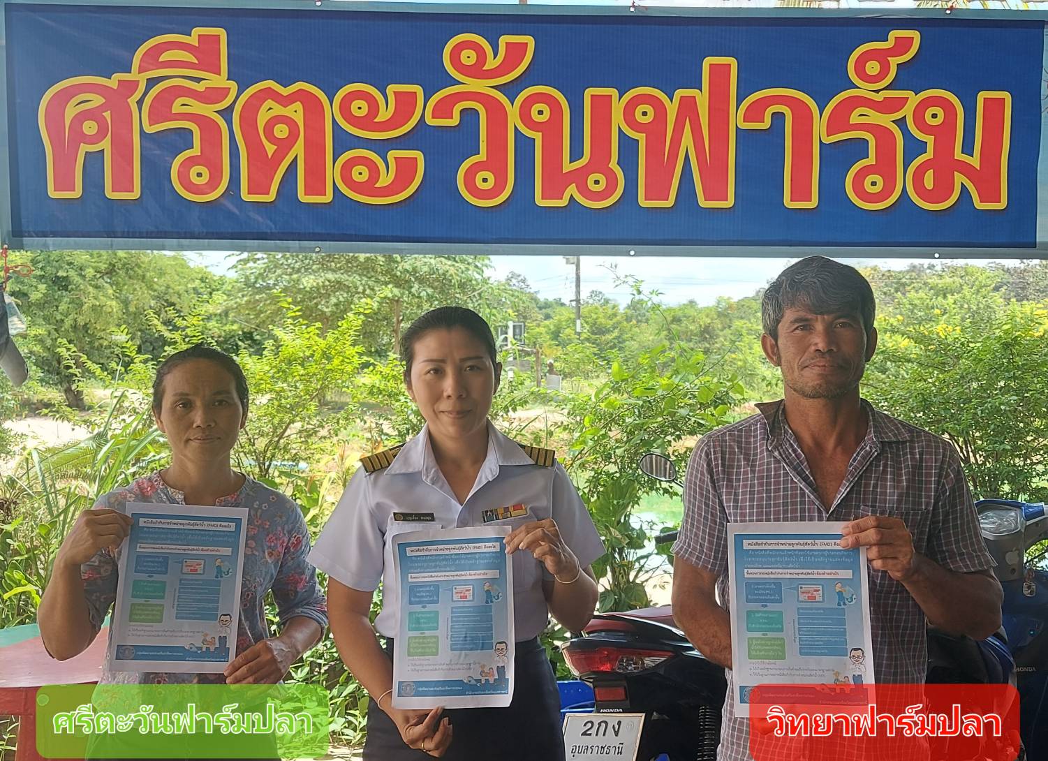 รูป ประกอบบทความ8