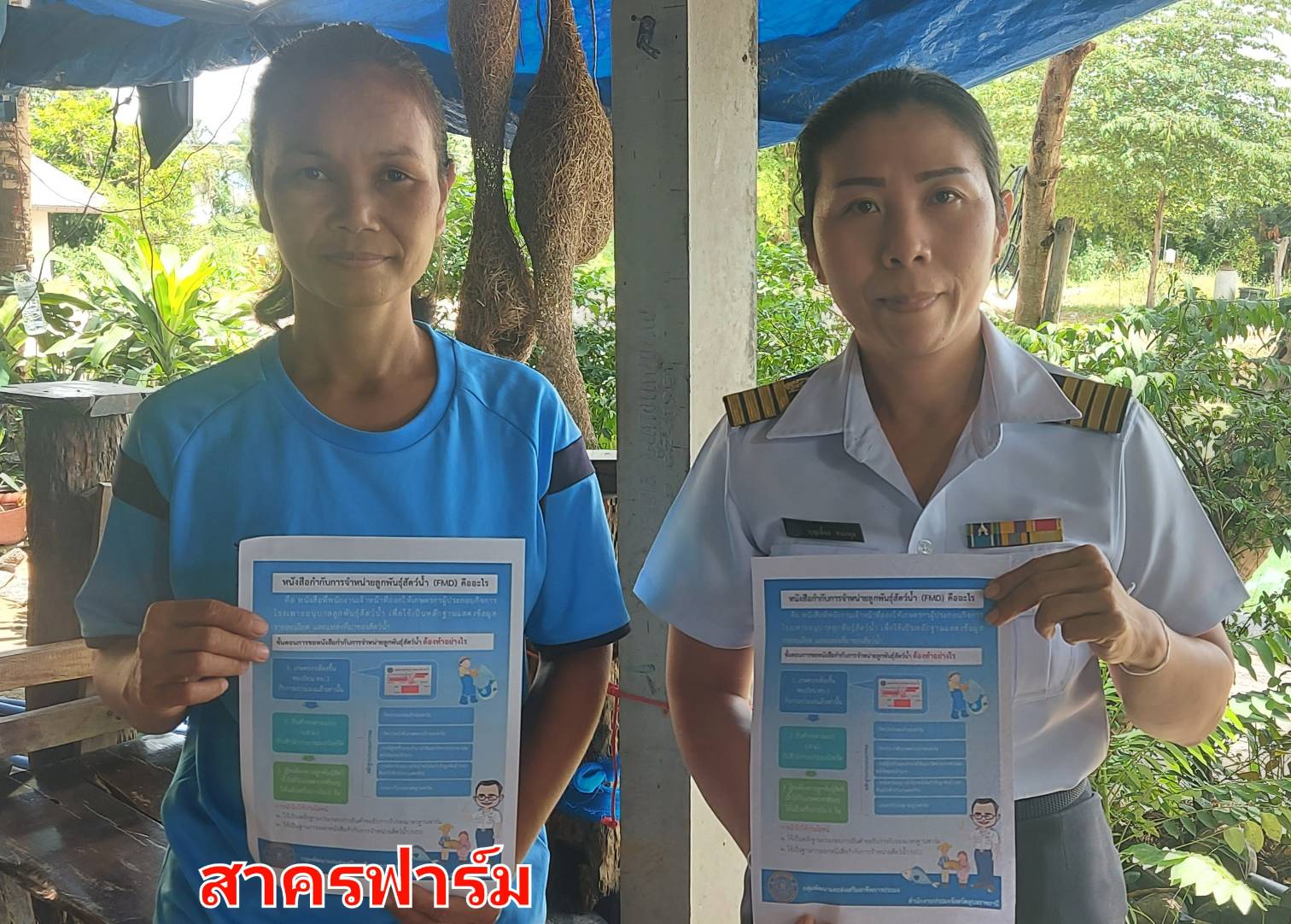 รูป ประกอบบทความ4