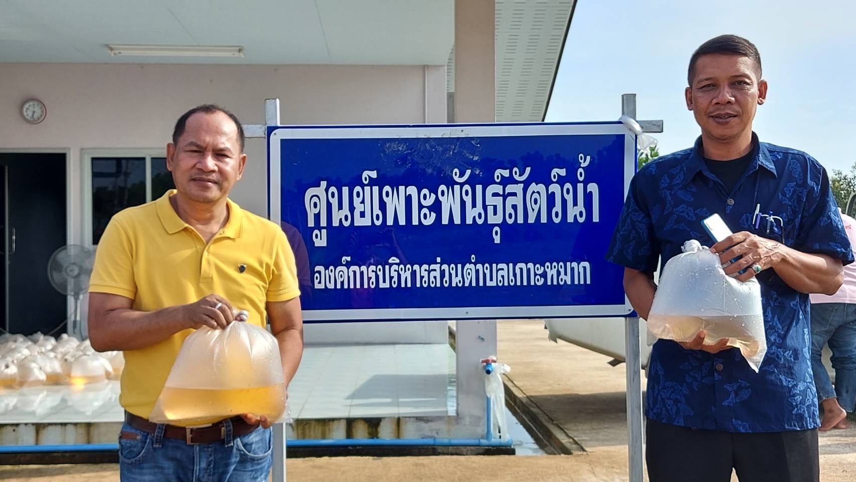 ประมงอำเภอปากพะยูน ร่วมกับองค์การบริหารส่วนตำบลเกาะหมากปล่อยกุ้งก้ามกราม และจัดเสวนาในชุมชน..คลิก