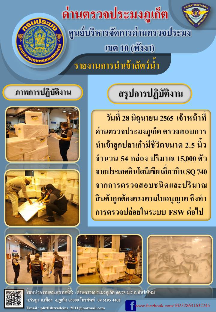 วันที่ 28 มิถุนายน 2565 เจ้าหน้าที่ด่านตรวจประมงภูเก็ต ตรวจสอบการนำเข้าลูกปลาเก๋ามีชีวิตขนาด 2.5 นิ้ว จำนวน 54 กล่อง ปริมาณ 15,000 ตัว จากประเทศอินโดนีเซีย เที่ยวบิน SQ 740 จากการตรวจสอบชนิดและปริมาณสินค้าถูกต้องตรงตามใบอนุญาต จึงทำการตรวจปล่อยในระบบ FSW ต่อไป..คลิก