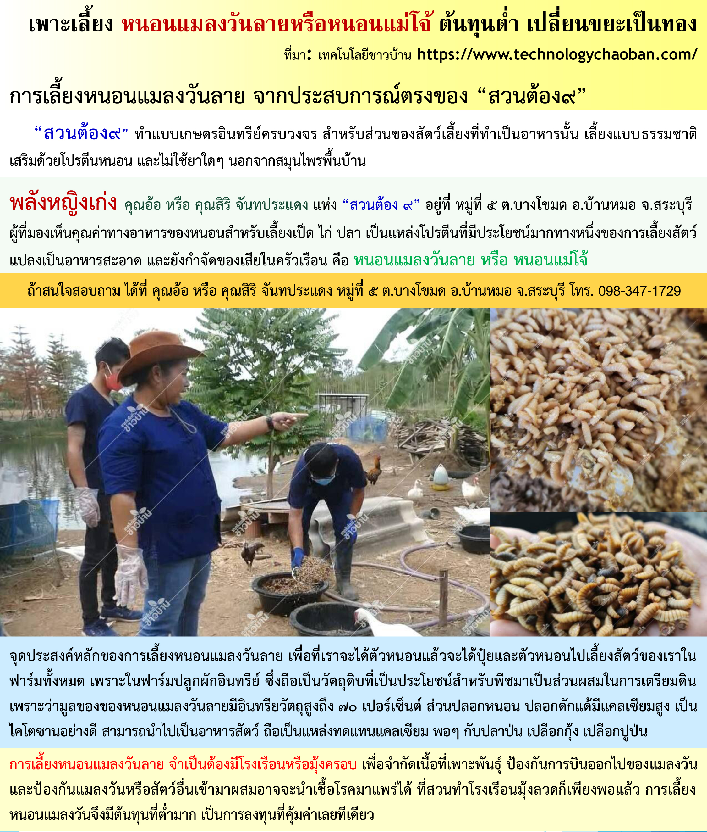 หนอนแม่โจ้มีชื่อเรียกเป็นทางการว่า หนอนแมลงวันลาย (Black Soldier Fly: BSF) จาก 