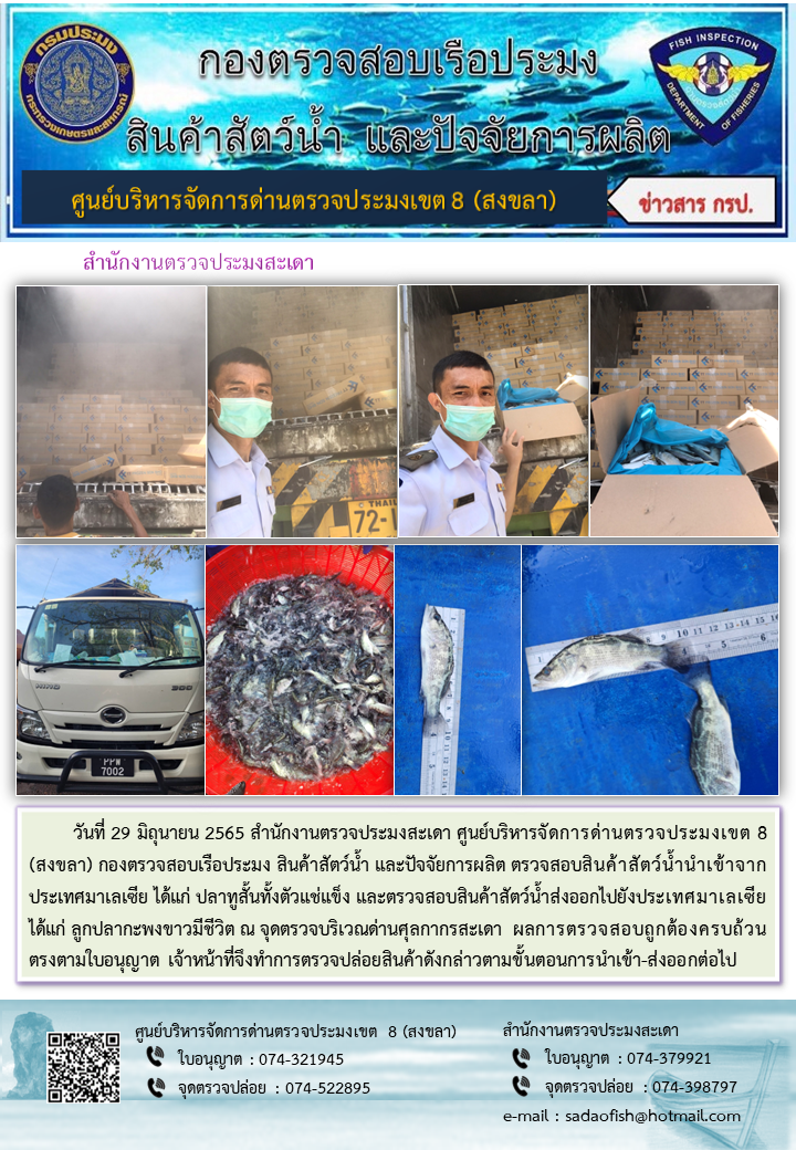 ประชาสัมพันธ์การปฏิบัติงาน วันที่ 29 มิถุนายน 2565 สำนักงานตรวจประมงสะเดา..คลิก