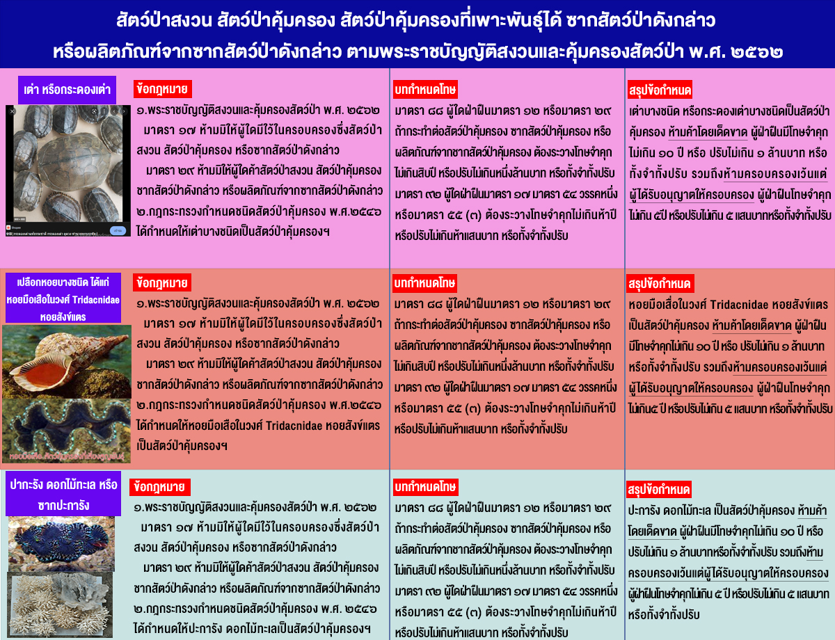 สัตว์ป่าสงวน สัตว์ป่าคุ้มครอง สัตว์ป่าคุ้มครองที่เพาะพันธุ์ได้ ซากสัตว์ป่าดังกล่าว หรือผลิตภัณฑ์จากซากสัตว์ป่าดังกล่าว ตามพระราชบัญญัติสงวนและคุ้มครองสัตว์ป่า พ.ศ.๒๕๖๒