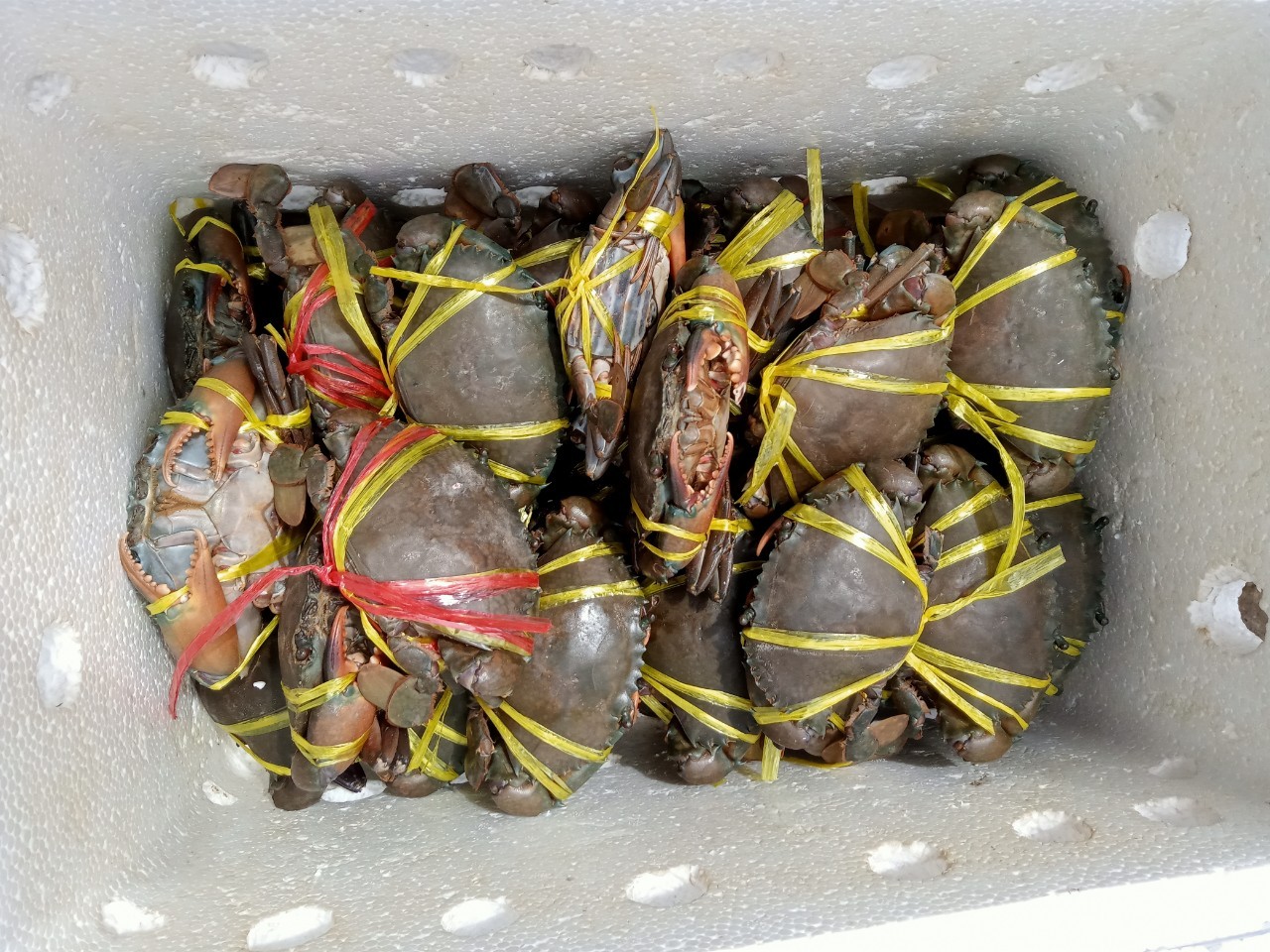 ตรวจสอบสินค้าส่งออก..คลิก