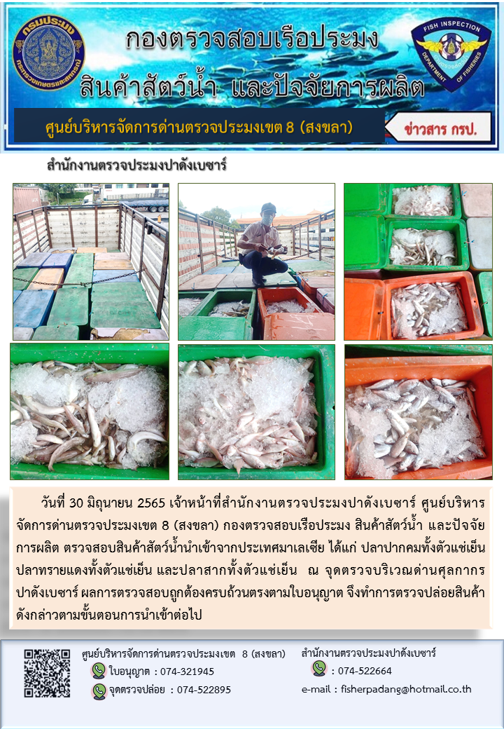 ประชาสัมพันธ์การปฏิบัติงาน วันที่ 30 มิถุนายน 2565 สำนักงานตรวจประมงปาดังเบซาร์..คลิก