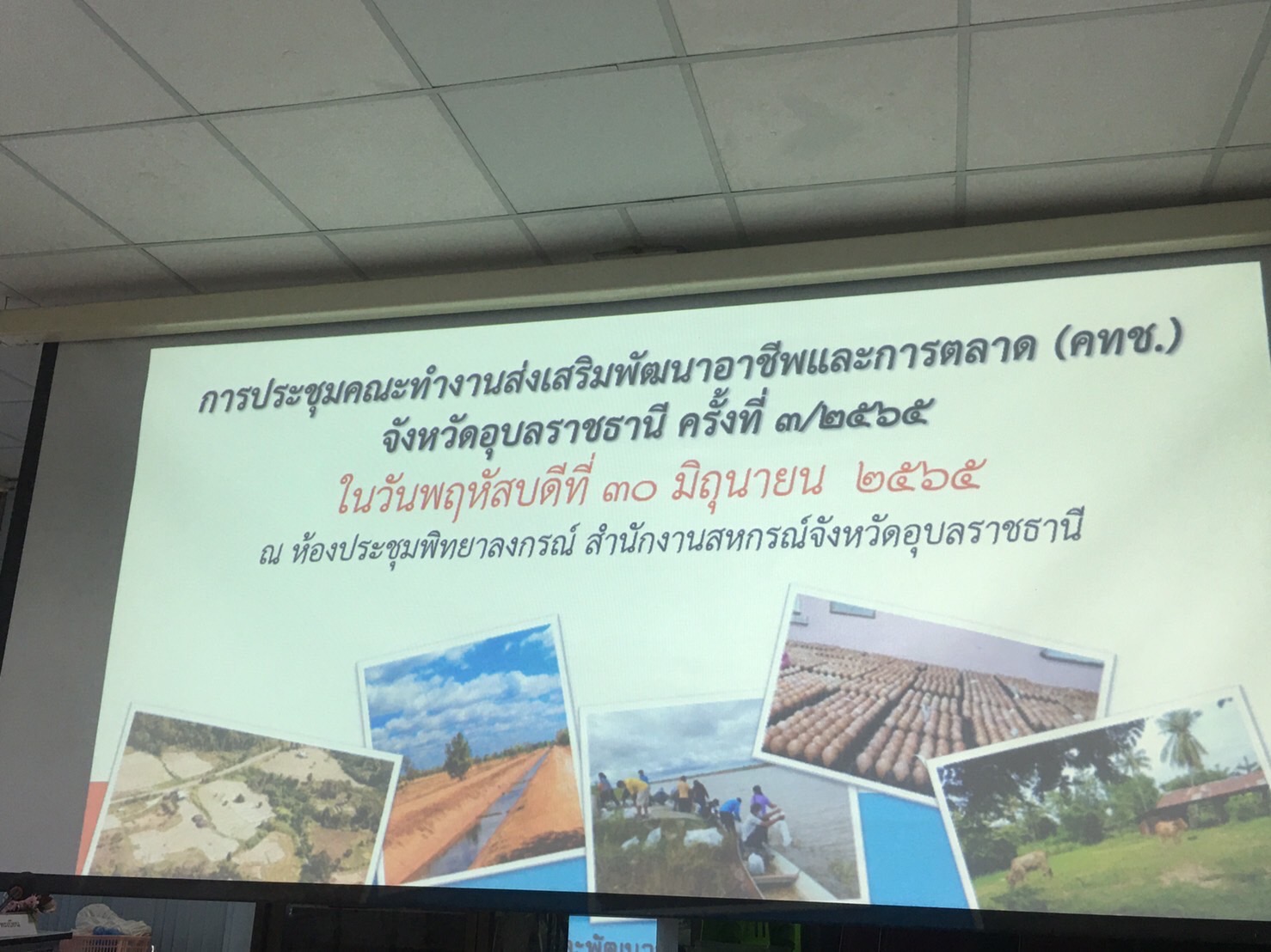  ประมงอุบลฯ ร่วมประชุมขับเคลื่อนพัฒนาอาชีพและการตลาด (คทช.) จังหวัดอุบลราชธานี ..คลิก