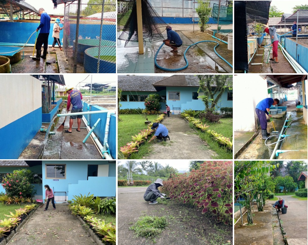 กิจกรรม Big Cleaning Day