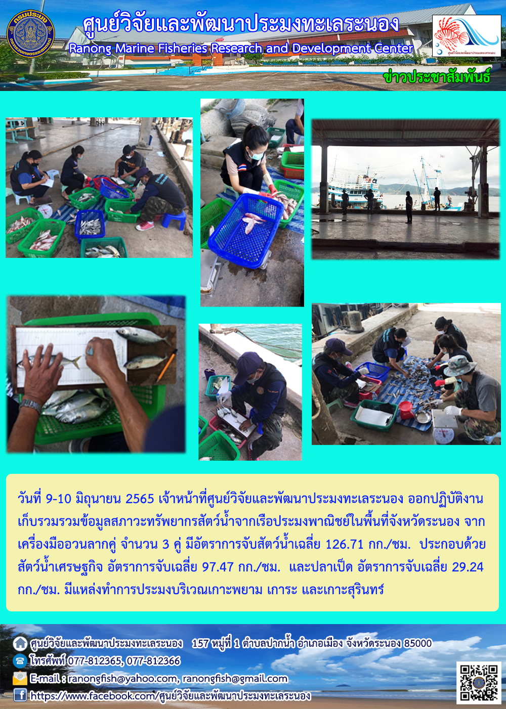 วันที่ 9-10 มิถุนายน 2565 เจ้าหน้าที่ศูนย์วิจัยและพัฒนาประมงทะเลระนองออกปฏิบัติงาน เก็บรวมรวมข้อมูลสภาวะทรัพยากรสัตว์น้ำจากเรือประมงพาณิชย์ในพื้นที่จังหวัดระนอง จากเครื่องมืออวนลากคู่ จำนวน 3 คู่ มีอัตราการจับสัตว์น้ำเฉลี่ย 126.71 กก/ชม. ประกอบด้วยสัตว์น้ำเศรษฐกิจ อัตราการจับเฉลี่ย 97.47 กก./ชม. และปลาเป็ด อัตราการจับเฉลี่ย 29.24 กก./ชม. มีแหล่งทำการประมงบริเวณเกาะพยาม เการะ และเกาะสุรินทร์ ศูนย์วิจัยและพัฒนาประมงทะเลระนอง 157 หมู่ที่ 1 ตำบลปากน้ำ อำเภอเมือง จังหวัดระนอง 85000..คลิก