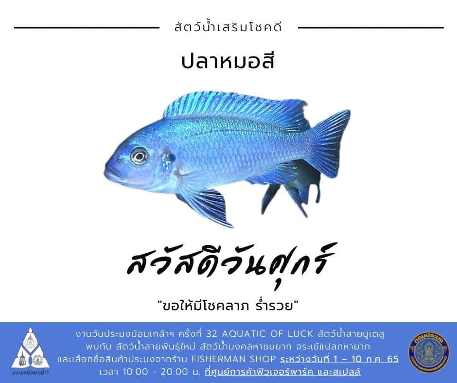 พบกับ...สัตว์น้ำสายพันธุ์ใหม่  สัตว์น้ำมงคลหาชมยาก  จระเข้แปลกหายาก  พร้อมเลือกซื้อสินค้าประมงจากร้าน Fisherman Shop ได้แล้ววันนี้ ในงานวันประมงน้อมเกล้าฯ ครั้งที่ 32 กับธีม 