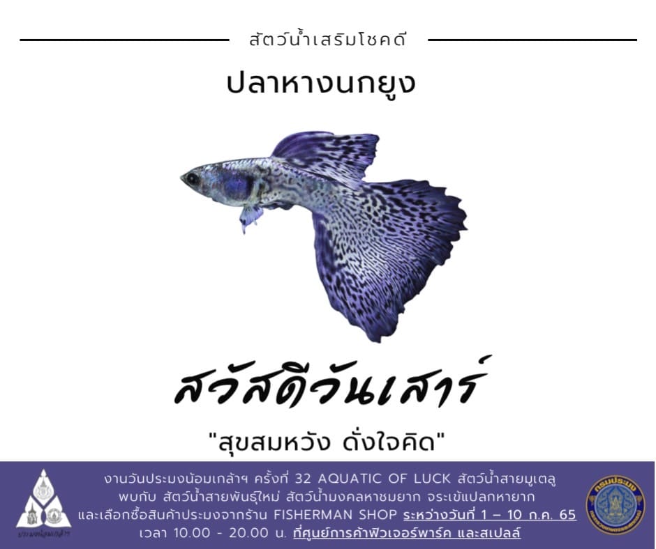 สวัสดีวันเสาร์  ... สุขสมหวัง ดั่งใจคิด..คลิก