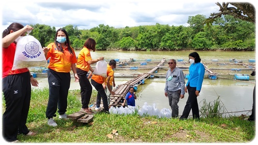 ปล่อยพันธุ์ปลาพื้นถิ่นลงแหล่งน้ำธรรมชาติ