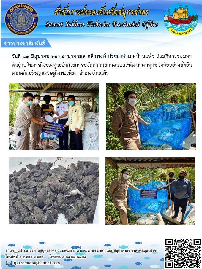 ร่วมกิจกรรมมอบพันธุ์กบในภารกิจของศูนย์อำนวยการขจัดความยากจนและพัฒนาคนทุกช่วงวัยอย่างยั่งยืนตามหลักปรัชญาเศรษฐกิจพอเพียง อำเภอบ้านแพ้ว  ..คลิก