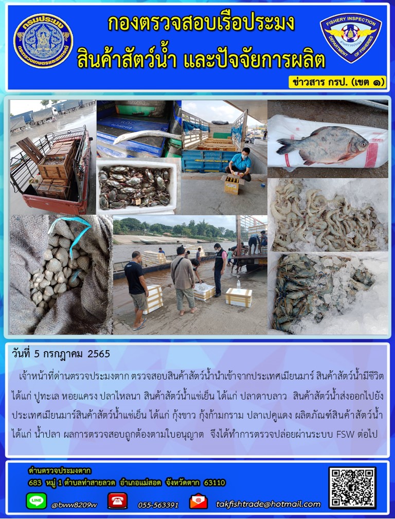 วันที่ 5 กรกฎาคม 2565   เจ้าหน้าที่ด่านตรวจประมงตาก ตรวจสอบสินค้าสัตว์น้ำนำเข้าจากประเทศเมียนมาร์ สินค้าสัตว์น้ำมีชีวิต ได้แก่ ปูทะเล หอยแครง ปลาไหลนา สินค้าสัตว์น้ำแช่เย็น ได้แก่ ปลาดาบลาว  สินค้าสัตว์น้ำส่งออกไปยังประเทศเมียนมาร์สินค้าสัตว์น้ำแช่เย็น ได้แก่ กุ้งขาว กุ้งก้ามกราม ปลาเปคูแดง ผลิตภัณฑ์สินค้าสัตว์น้ำ ได้แก่ น้ำปลา ผลการตรวจสอบถูกต้องตามใบอนุญาต  จึงได้ทำการตรวจปล่อยผ่านระบบ FSW ต่อไป