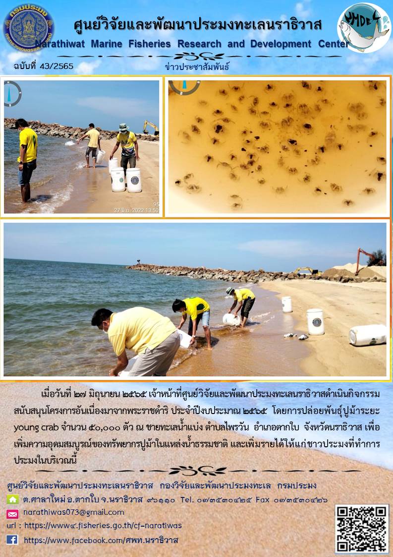 การปล่อยพันธุ์ปูม้าระยะ young crab กิจกรรมสนับสนุนโครงการอันเนื่องมาจากพระราชดำริ ประจำปีงบประมาณ 2565