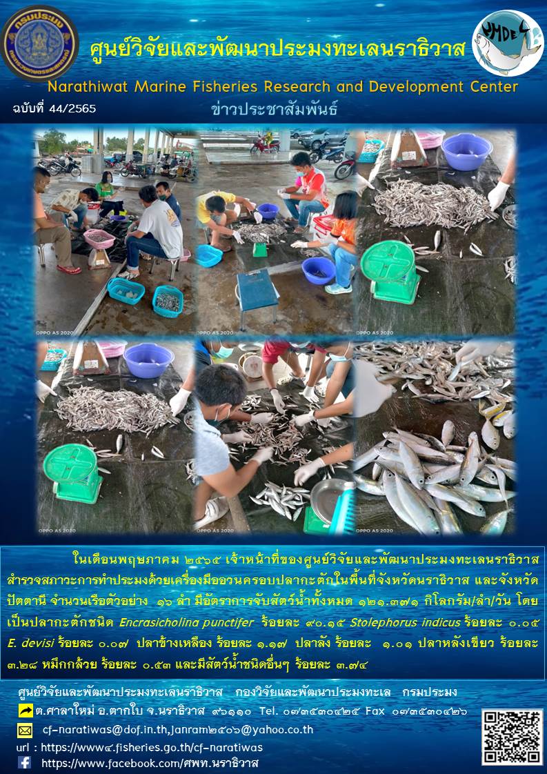 สำรวจสภาวะการทำประมงด้วยเครื่องมืออวนครอบปลากะตักในพื้นที่จังหวัดนราธิวาส และจังหวัดปัตตานี..คลิก