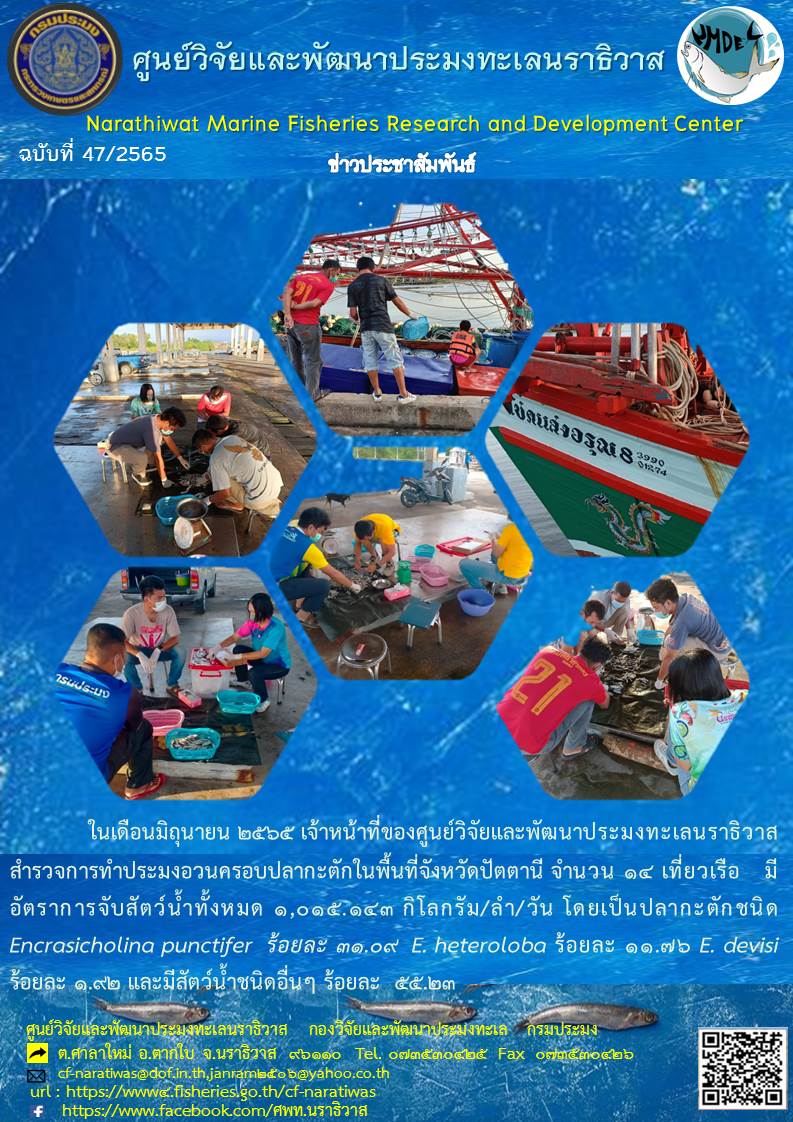 สำรวจการทำประมงอวนครอบปลากะตักในจังหวัดปัตตานี..คลิก