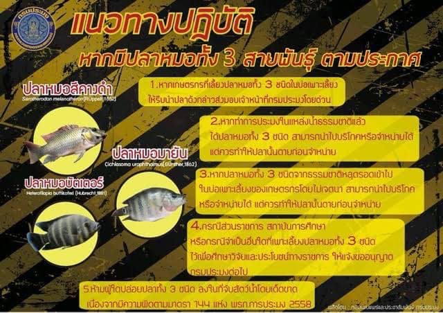 ร่วมประชุมหัวหน้าส่วนราชการอำเภอเมืองราชบุรีพร้อมทั้งประชาสัมพันธ์แจ้งข่าว..คลิก