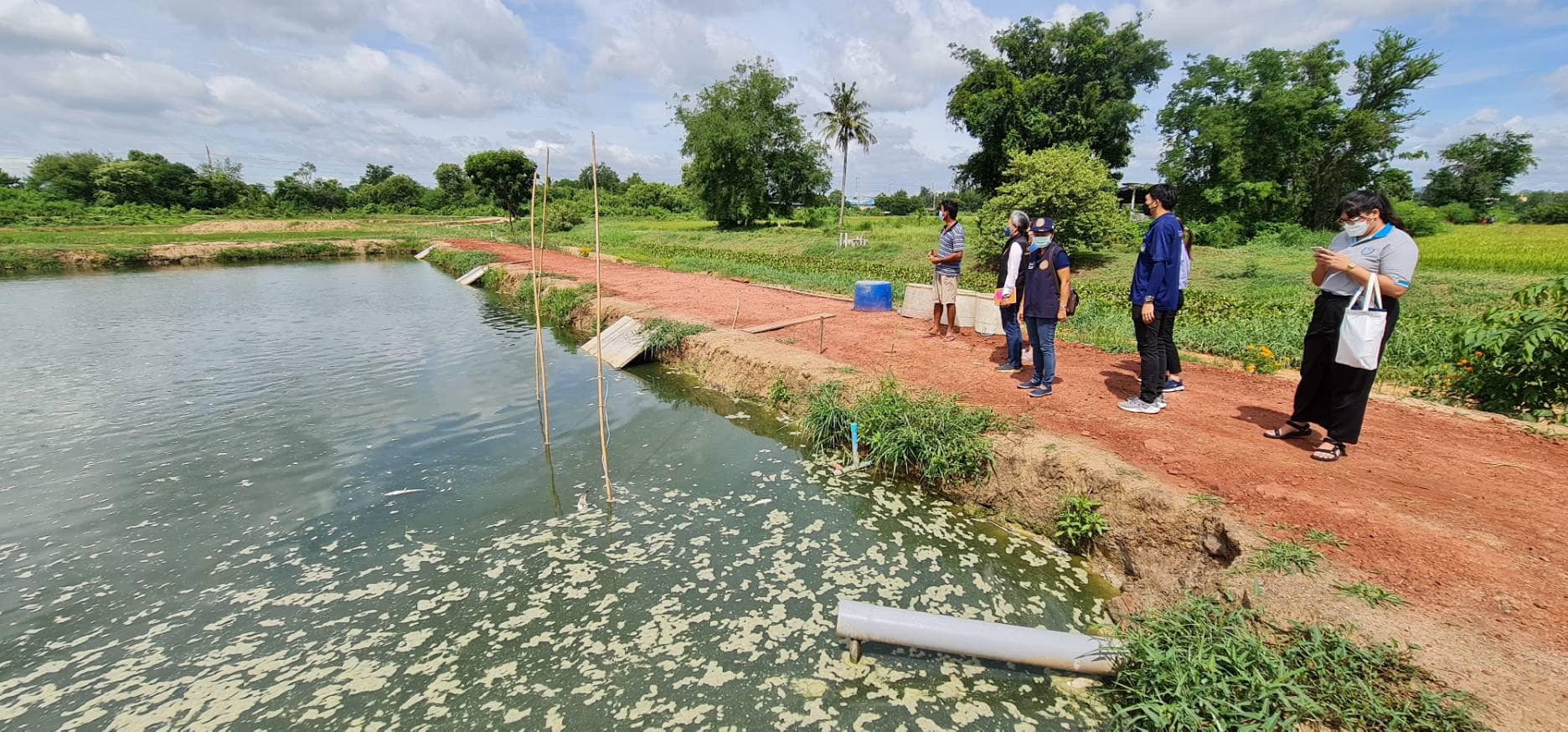 ลงพื้นที่สอบสวนโรคปลาดุกในฟาร์มของเกษตรกรที่ป่วยและให้คำแนะนำแก่เกษตรกรในการเลี้ยงปลาดุก..คลิก