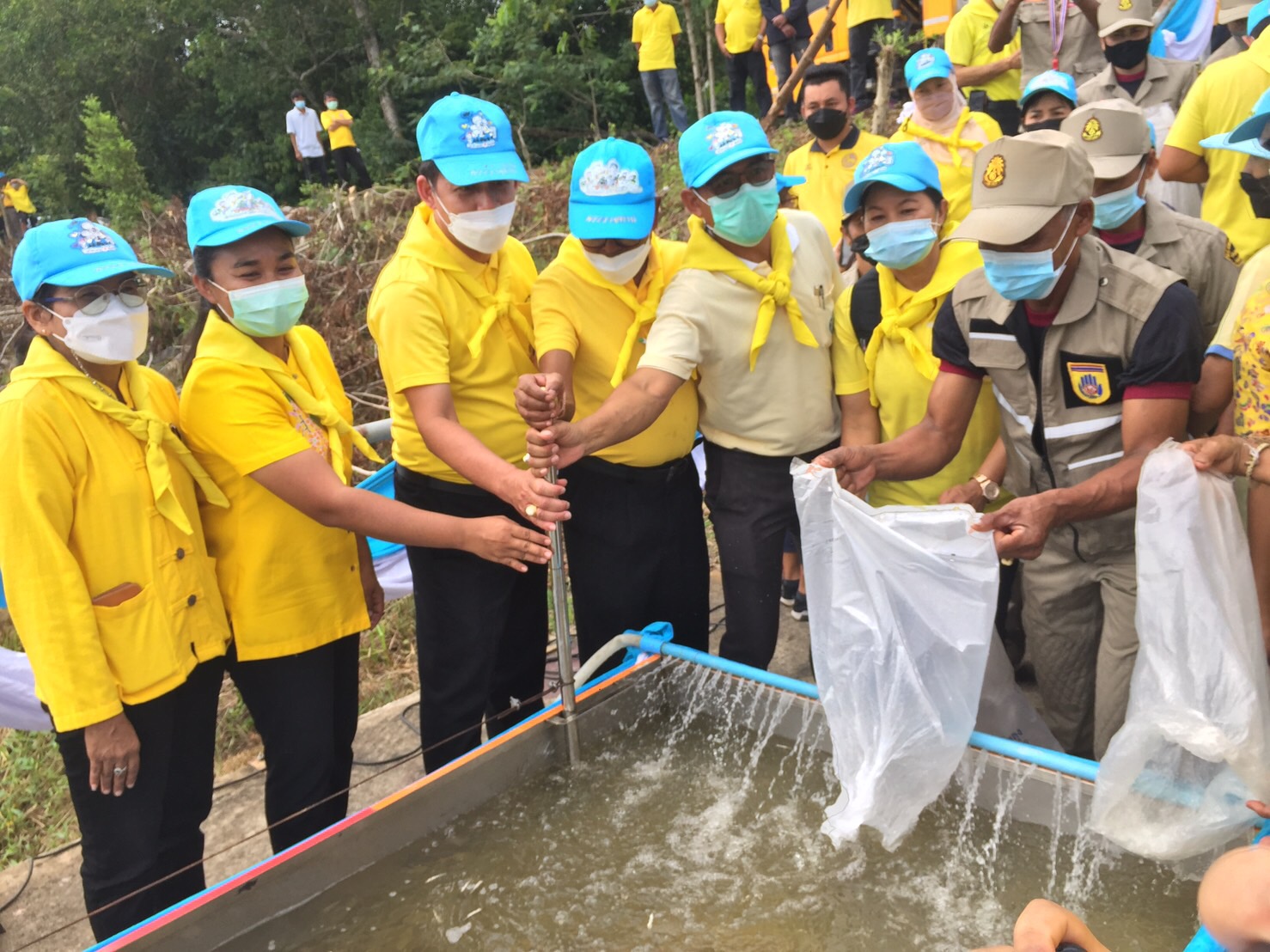สำนักงานประมงจังหวัดพัทลุง เข้าร่วมกิจกรรมปล่อยพันธุ์สัตว์ปลา เฉลิมพระเกียรติสมเด็จพระนางเจ้าสิริกิติ์ พระบรมราชินีนาถ พระบรมราชชนนีพันปีหลวง..คลิก