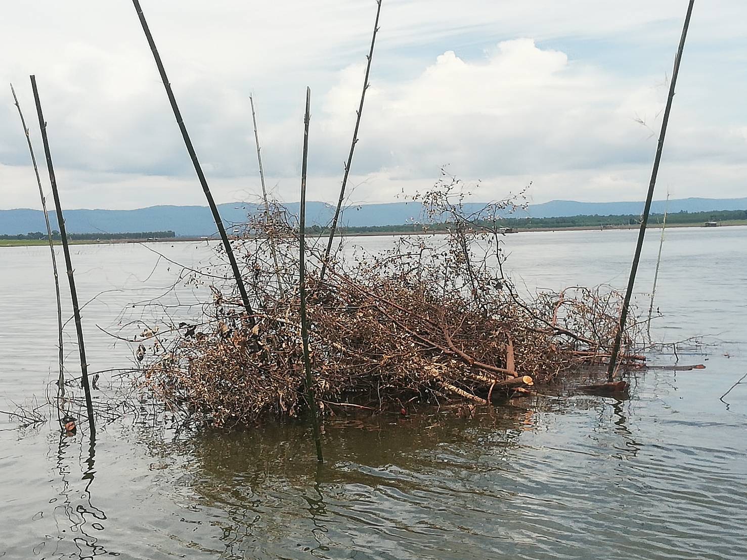 วันที่ 6 กรกฎาคม 2565 นายวิทยา ประเสริฐสังข์ ประมงอำเภอโนนสัง ร่วมกับอภิโชค ไชยรส ประธานและคณะกรรมการองค์กรชุมชนประมงท้องถิ่นบ้านท่าลาด เพื่อติดตามความก้าวหน้าและเร่งรัดดำเนินกิจกรรมตามแผนที่กำหนดคือ ปักแนวเขตอนุรักษ์สัตว์น้ำและลงกร่ำสร้างแหล่งที่อยู่อาศัยของสัตว์น้ำและเร่งให้จัดชื้อเครื่องมือประมงตามกิจกรรมปรับเปลี่ยนเครื่องทำการประมงโครงการพัฒนาอาชีพและส่งเสริมความเข้มแข็งของชุมชนประมง (กิจกรรมพัฒนาอาชีพชุมชนประมง) ประจำปีงบประมาณ พ.ศ.2565 ณ บ้านท่าลาด หมู่4 ตำบลหนองเรือ อำเภอโนนสัง จังหวัดหนองบัวลำภู..คลิก