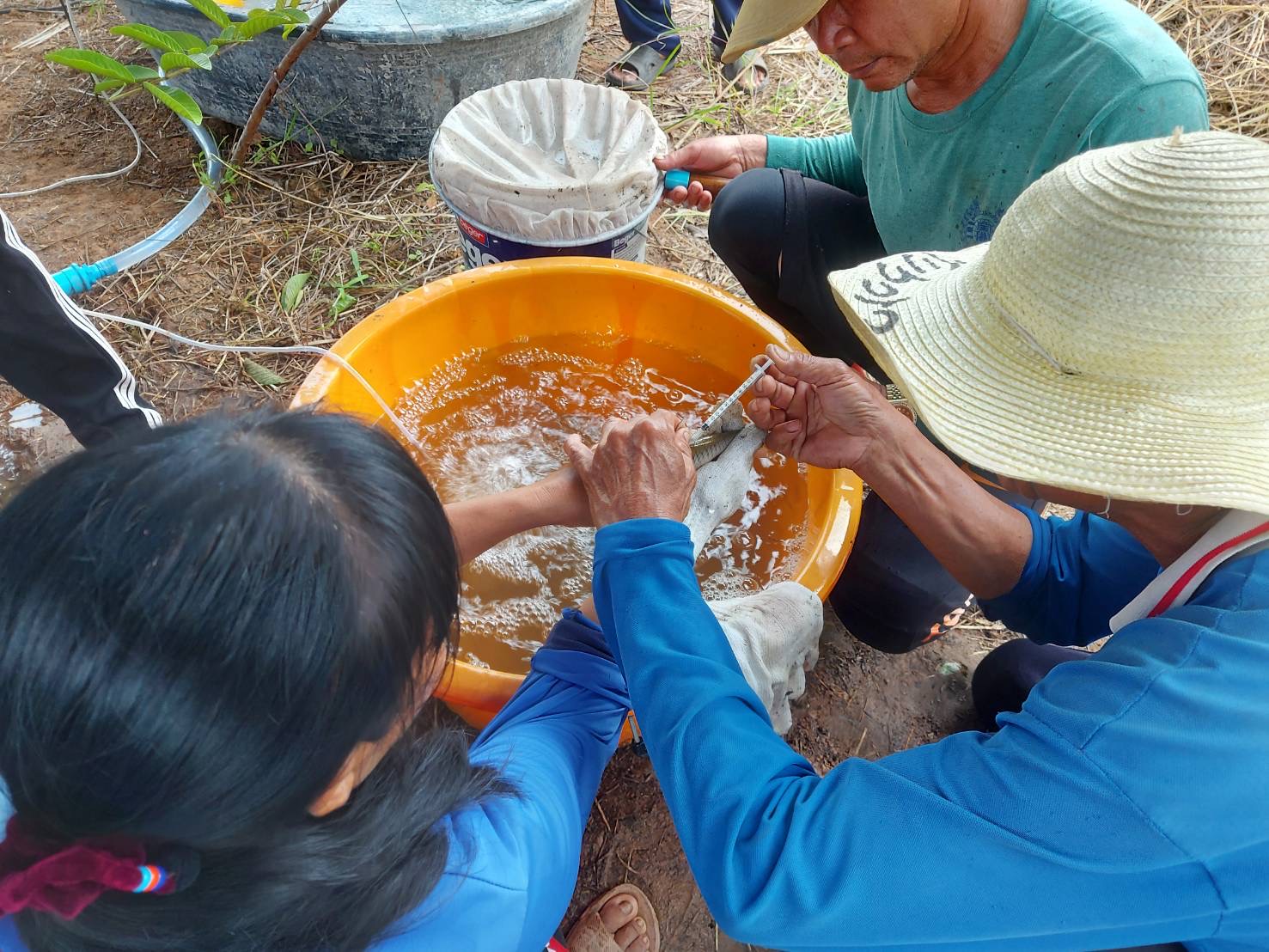 วันที่ 6 กรกฎาคม 2565 เวลา 15.00 น. นางสาวมลฤดี  ลิ้มสุวรรณ ประมงอำเภอศรีบุญเรือง ปฏิบัติงานติดตามและทบทวนการดำเนินงานการเพาะพันธุ์ปลาตะเพียนด้วยชุดเพาะพันธุ์ปลาเคลื่อนที่ ของกลุ่มเพาะพันธุ์ปลาตำบลนากอก บ้านโนนสำราญ หมู่ที่ 8 ตำบลนากอก อำเภอศรีบุญเรืองจังหวัดหนองบัวลำภู..คลิก