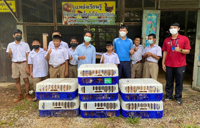 งานปศุสัตว์ ศูนย์ศึกษาการพัฒนาอ่าวคุ้งกระเบนฯ มอบพันธุ์ไก่ไข่..คลิก