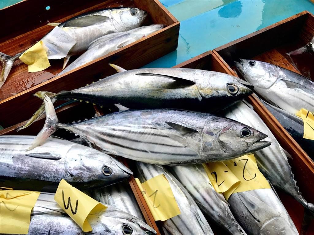 ทูน่าเวียดนามสามารถทำตลาดในเม็กซิโกได้เพิ่มขึ้น