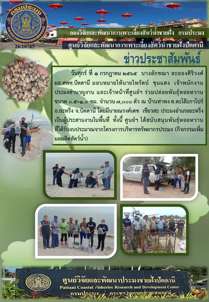กิจกรรมปล่อยพันธุ์หอยหวาน จำนวน 7,000 ตัว บริเวณบ้านท่าพง อ.ยะหริ่ง จ.ปัตตานี..คลิก