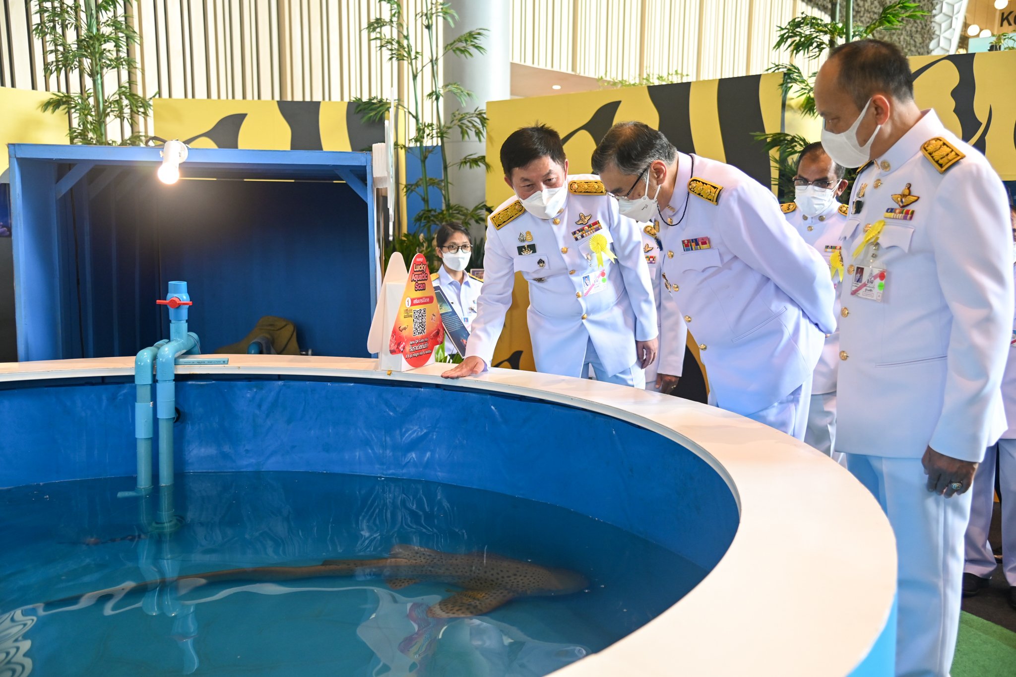 สมเด็จพระเจ้าน้องนางเธอ เจ้าฟ้าจุฬาภรณวลัยลักษณ์ อัครราชกุมารี กรมพระศรีสวางควัฒน วรขัตติยราชนารี ทรงพระกรุณาโปรดให้ นายสุรพิทย์ กีรติบุตร รองประธานสถาบันวิจัยจุฬาภรณ์ ฝ่ายวิเทศสัมพันธ์ เป็นผู้แทนพระองค์ ไปเปิดงานวันประมงน้อมเกล้าฯ ครั้งที่ ๓๒..คลิก