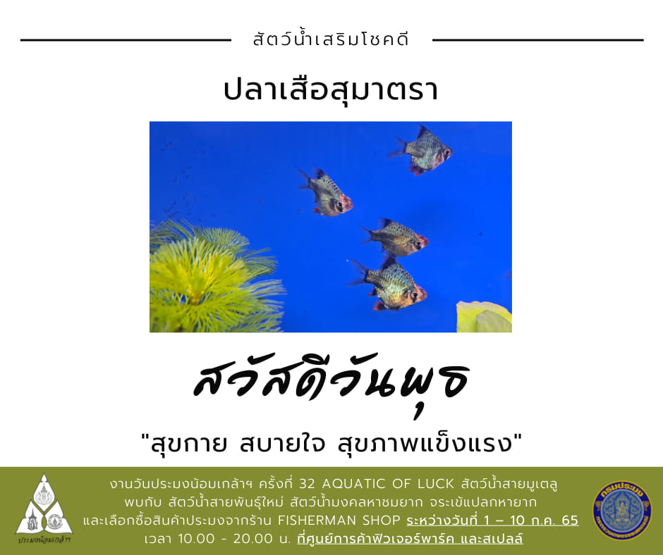 สวัสดี...วันพุธ  สุขกาย สบายใจ สุขภาพแข็งแรง..คลิก