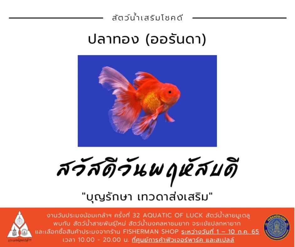 สวัสดี...วันพฤหัสบดี บุญรักษา เทวดาส่งเสริม..คลิก