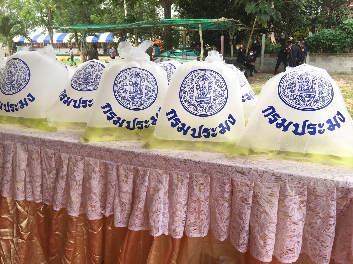 รูป ประกอบบทความ4