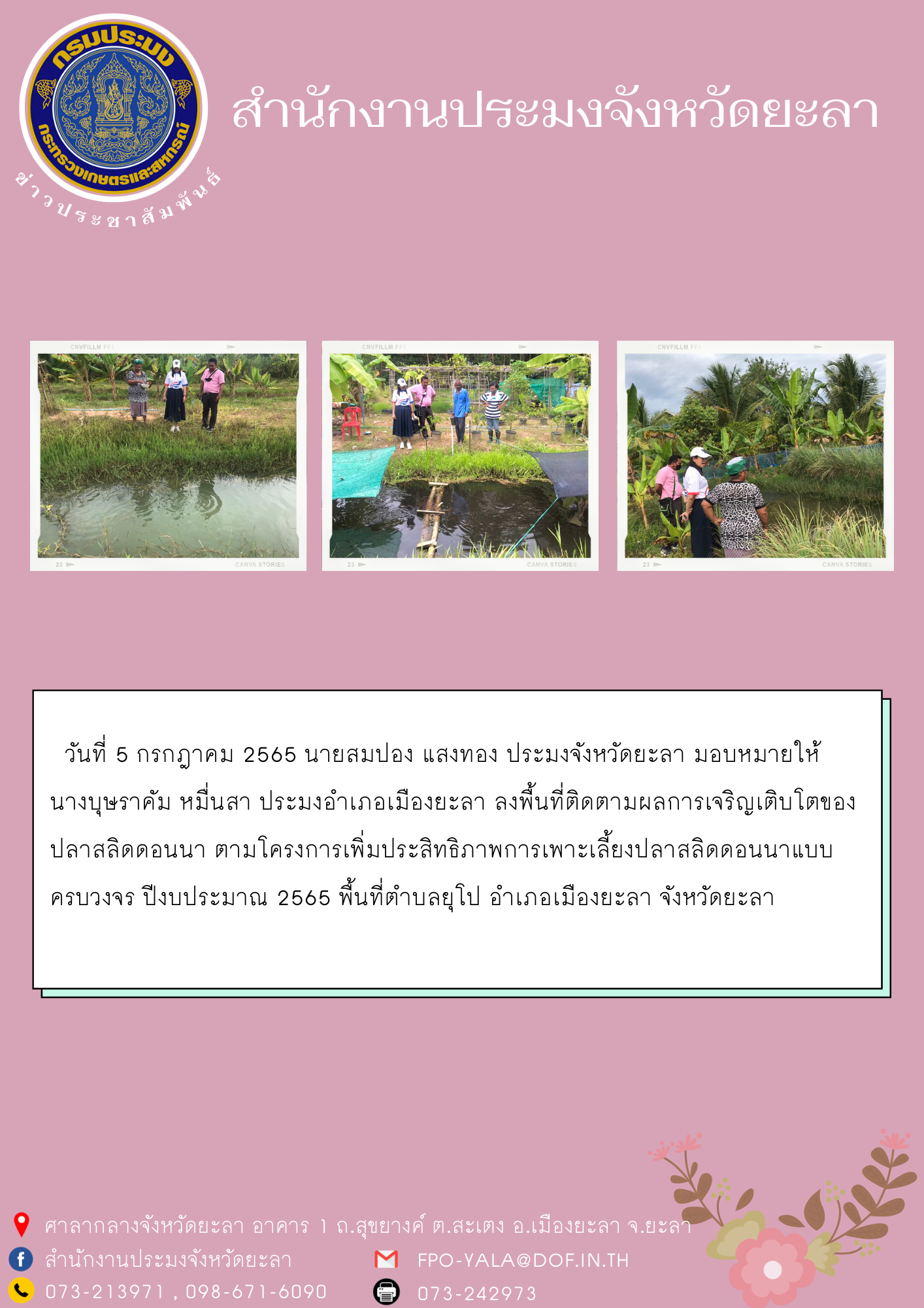 ติดตามผลการเจริญเติบโตของปลาสลิดดอนนา ตามโครงการเพิ่มประสิทธิภาพการเพาะเลี้ยงปลาสลิดดอนนาแบบครบวงจร ปีงบประมาณ 2565..คลิก