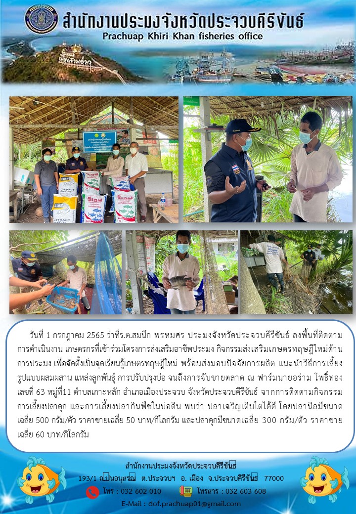 ว่าที่ร้อยตรีสมนึก พรหมศร ประมงจังหวัดประจวบคีรีขันธ์ ลงพื้นที่ติดตามการดำเนินงาน เกษตรกรที่เข้าร่วม โครงการส่งเสริมอาชีพประมง กิจกรรมส่งเสริมเกษตรทฤษฎีใหม่ด้านการประมง..คลิก