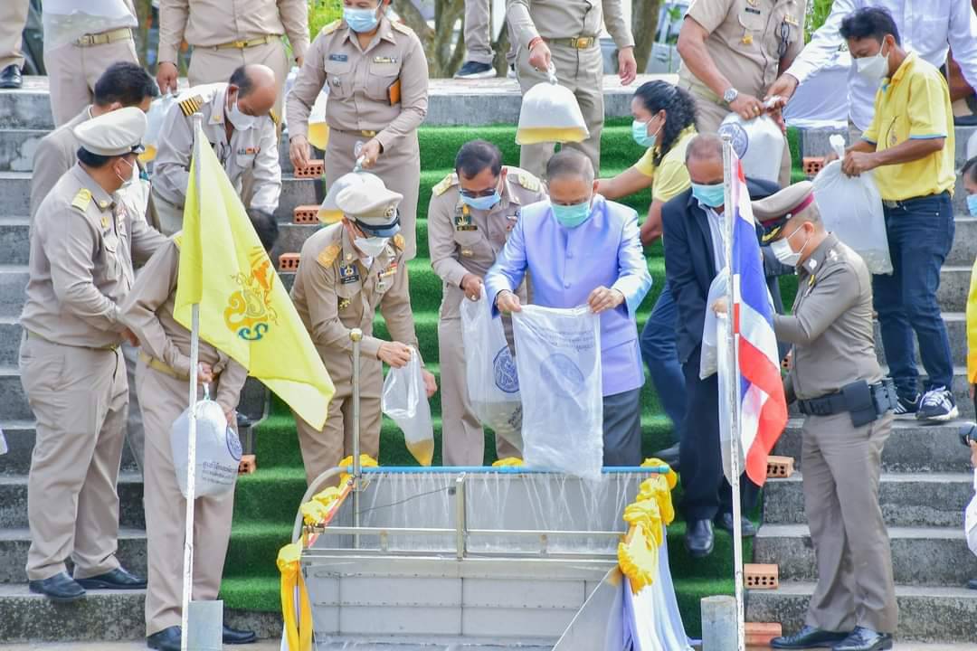 สำนักงานประมงจังหวัดพัทลุง ร่วมให้การต้อนรับ ฯพณฯ พลอากาศเอก ชลิต พุกผาสุข องคมนตรี เดินทางมารับฟังความคืบหน้าในการสร้าง เขื่อนกันตลิ่งพัง คลองมะกอกใต้และคลองมะกอกเหนือ  และปล่อยพันธุ์สัตว์น้ำ..คลิก