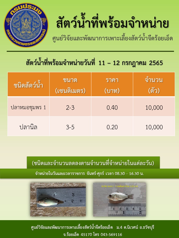 สัตว์น้ำที่พร้อมจำหน่ายวันที่ 11 - 12 กรกฎาคม 2565..คลิก