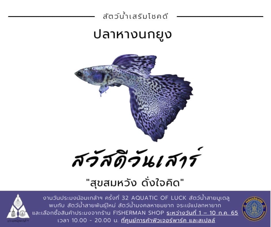 สวัสดีวันเสาร์ สุขสมหวัง ดั่งใจคิด..คลิก