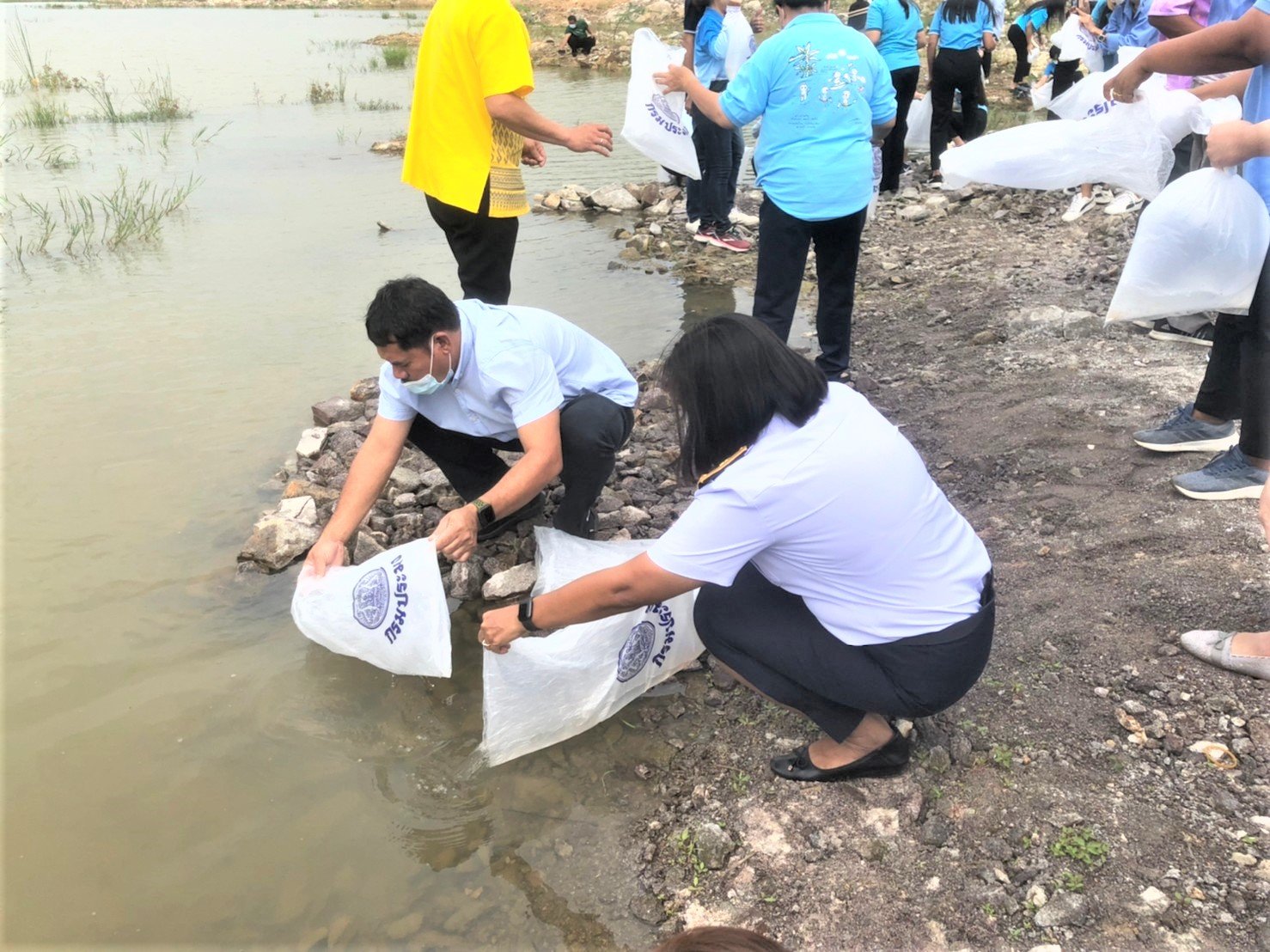 ปล่อยพันธุ์กุ้งก้ามกราม..คลิก