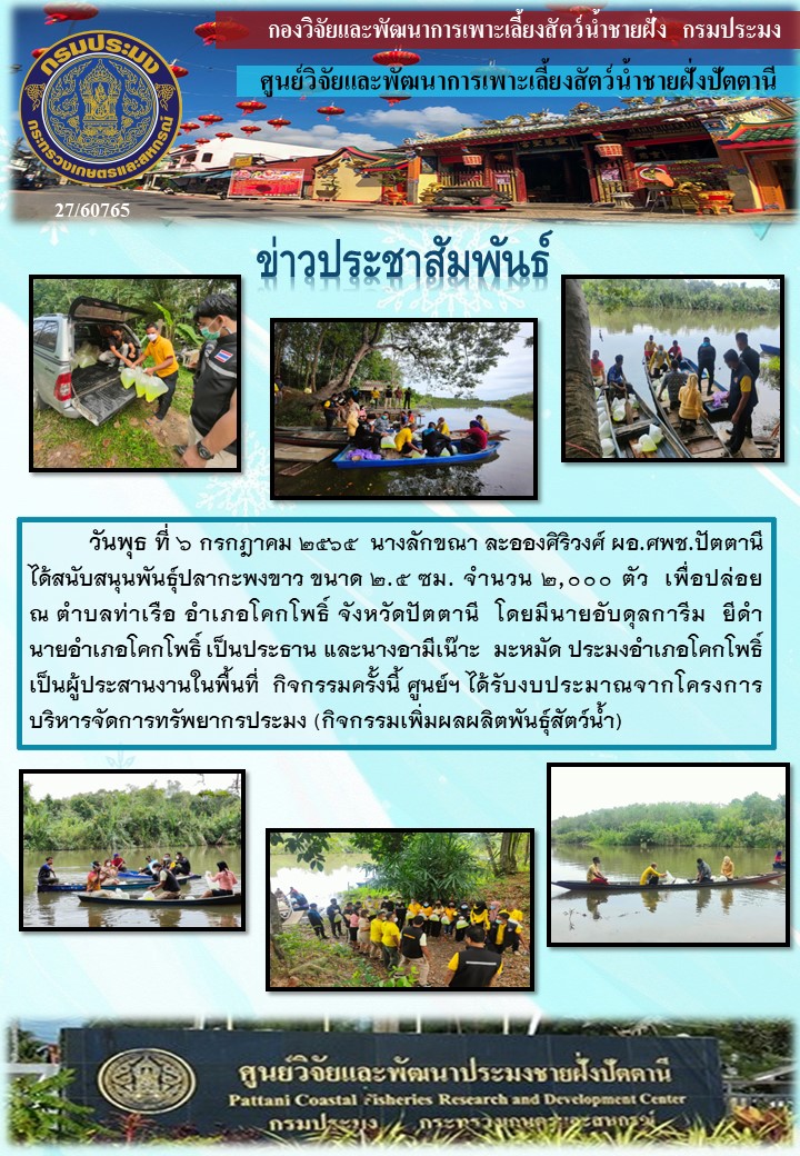 สนับสนุนพันธุ์ปลากะพงขาว จำนวน 2,000 ตัว เพื่อปล่อยบริเวณ ต.ท่าเรือ อ.โคกโพธิ์ จ.ปัตตานี