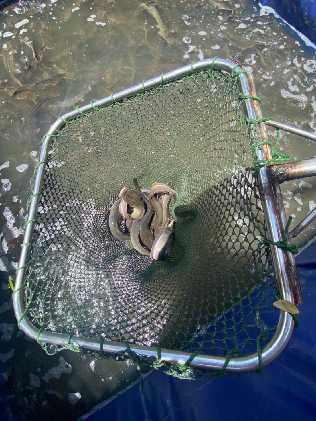 ตรวจสอบสินค้าส่งออก..คลิก