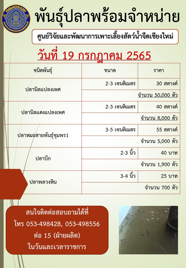 พันธุ์ปลาพร้อมจำหน่าย วันที่ 19 กรกฎาคม 2565..คลิก
