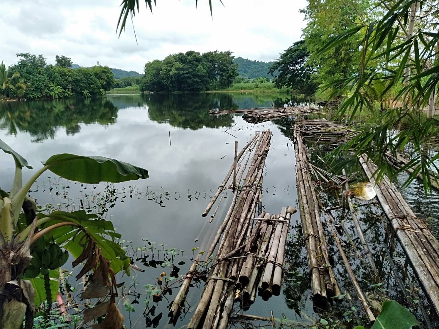 วันที่ 12 กรกฎาคม  2565  นายเมธา  ตาลเหล็ก  ประมงอำเภอนากลาง (รับผิดชอบพื้นที่อำเภอนาวัง) จังหวัดหนองบัวลำภู ดำเนินกิจกรรมบริหารจัดการแหล่งน้ำชุมชน ในพื้นที่อำเภอนาวัง ในแหล่งน้ำ  ร่วมกับคณะกรรมการบริหารจัดการแหล่งน้ำ ในพื้นที่อำเภอนาวัง ปล่อยพันธุ์สัตว์น้ำ จำนวน 40,000 ตัว ณ บ้านนาเจริญ หมู่ 8  ตำบลวังทอง และแหล่งน้ำวัดปัญจบุญญาวาส บ้านโคกหนองบัว ตำบลวังปลาป้อม อำเภอนาวัง  จังหวัดหนองบัวลำภู..คลิก