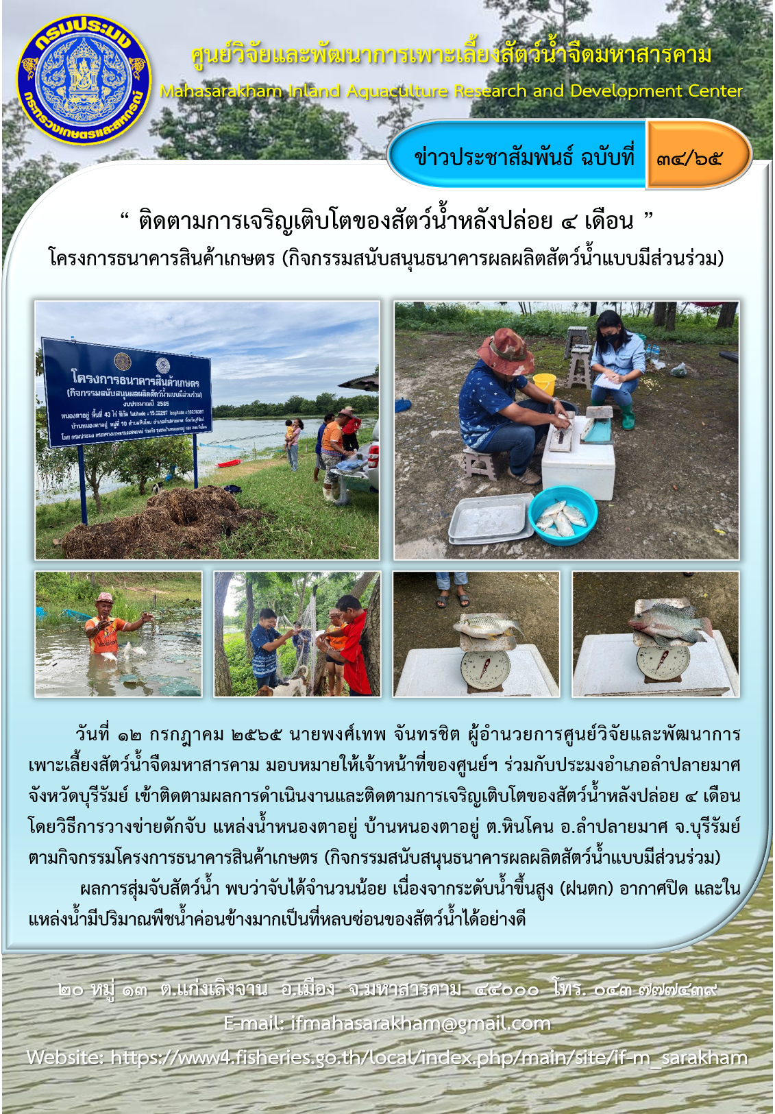 “ ติดตามการเจริญเติบโตของสัตว์น้ำหลังปล่อย ๔ เดือน ”  โครงการธนาคารสินค้าเกษตร (กิจกรรมสนับสนุนธนาคารผลผลิตสัตว์น้ำแบบมีส่วนร่วม)..คลิก