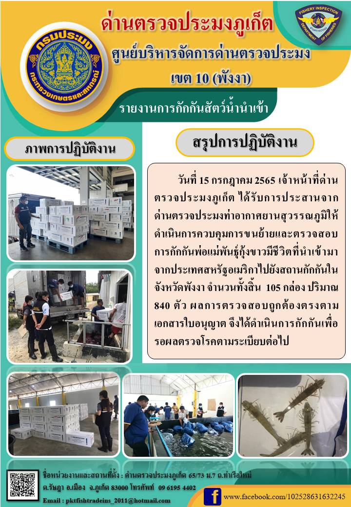 วันที่ 15 กรกฎาคม 2565 เจ้าหน้าที่ด่านตรวจประมงภูเก็ต ได้รับการประสานจาก    ด่านตรวจประมงท่าอากาศยานสุวรรณภูมิให้ดำเนินการควบคุมการขนย้ายและตรวจสอบการกักกันพ่อแม่พันธุ์กุ้งขาวมีชีวิตที่นำเข้ามาจากประเทศสหรัฐอเมริกาไปยังสถานกักกันในจังหวัดพังงา จำนวนทั้งสิ้น  105 กล่อง ปริมาณ 840 ตัว ผลการตรวจสอบถูกต้องตรงตามเอกสารใบอนุญาต จึงได้ดำเนินการกักกันเพื่อรอผลตรวจโรคตามระเบียบต่อไป..คลิก