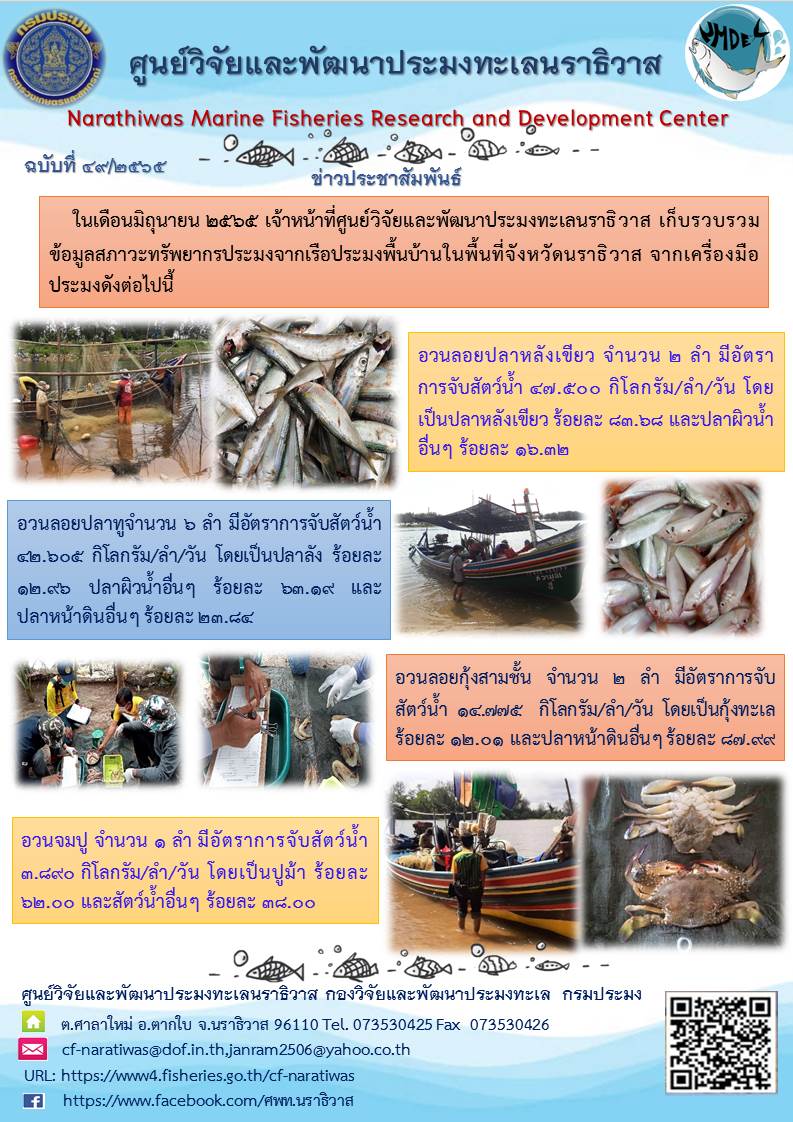 การรวบรวมข้อมูลสภาวะทรัพยากรประมงจากเรือประมงพื้นบ้านในพื้นที่จังหวัดนราธิวาส จากเครื่องมือประมง อวนลอยปลาหลังเขียว อวนลอยปลาทู อวนลอยกุ้งสามชั้นและอวนจมปู..คลิก