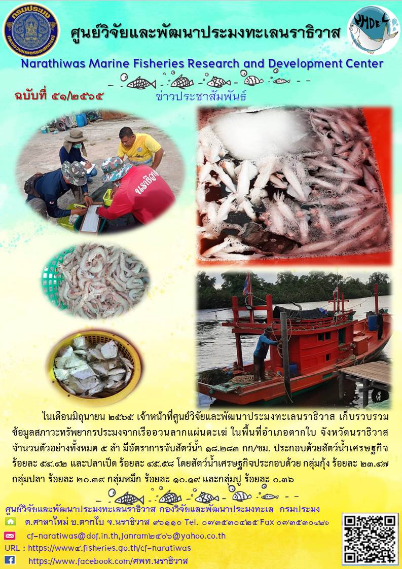 การเก็บรวบรวมข้อมูลสภาวะทรัพยากรประมงจากเรืออวนลากแผ่นตะเฆ่ ในพื้นที่อำเภอตากใบ จังหวัดนราธิวาส..คลิก