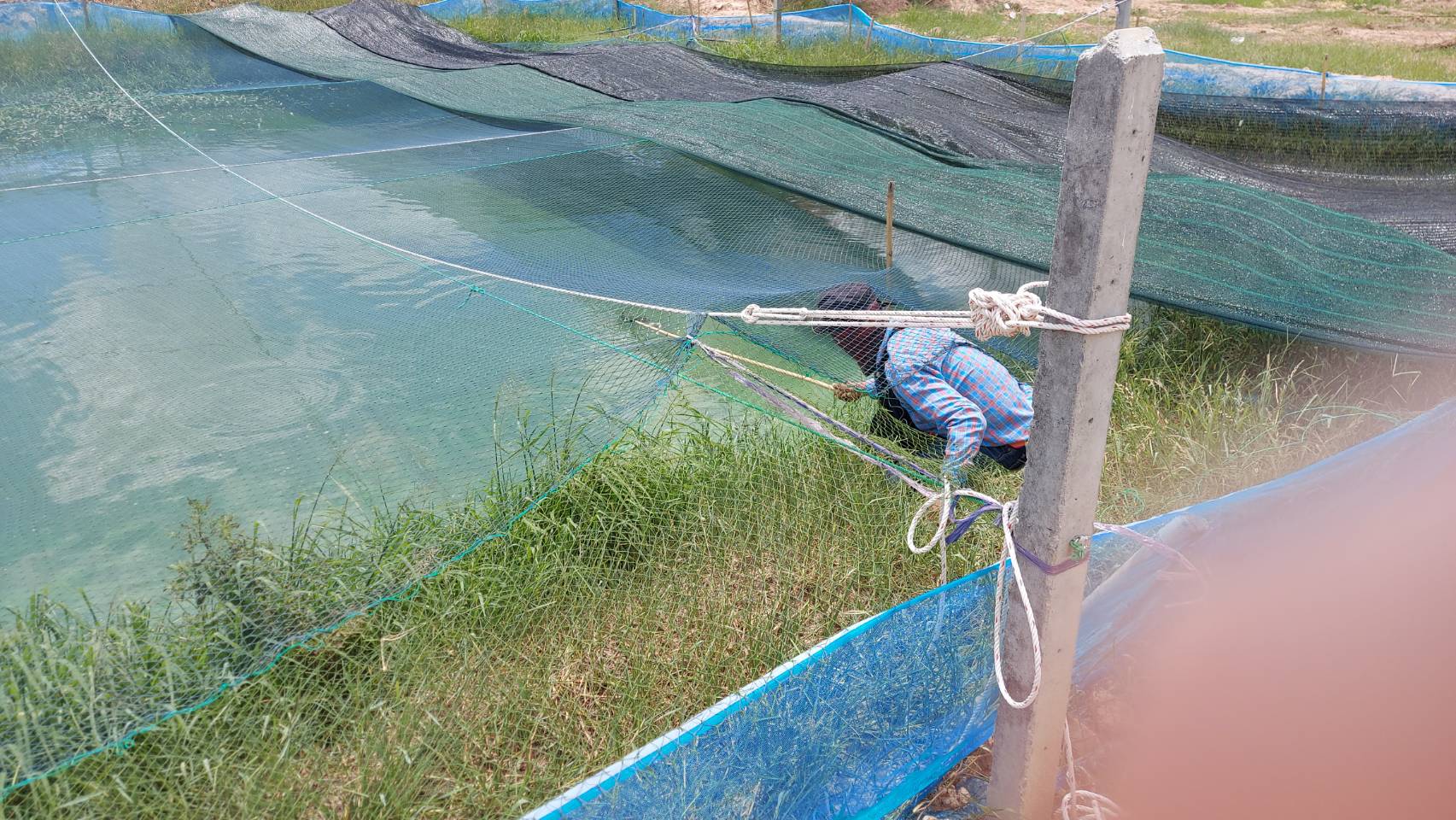 ติดตาม เร่งรัด การปฏิบัติงาน แก้ไขปัญหาด้านการประมงในพื้นที่อำเภอพนมทวน..คลิก