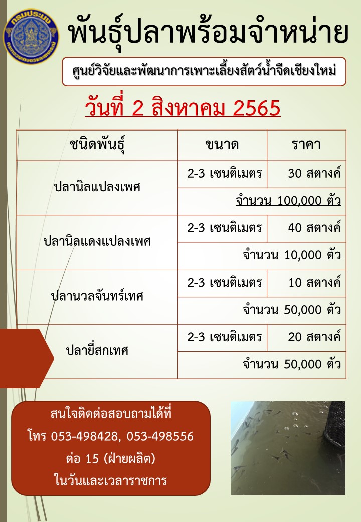 พันธุ์ปลาพร้อมจำหน่าย วันที่ 2 สิงหาคม 2565..คลิก
